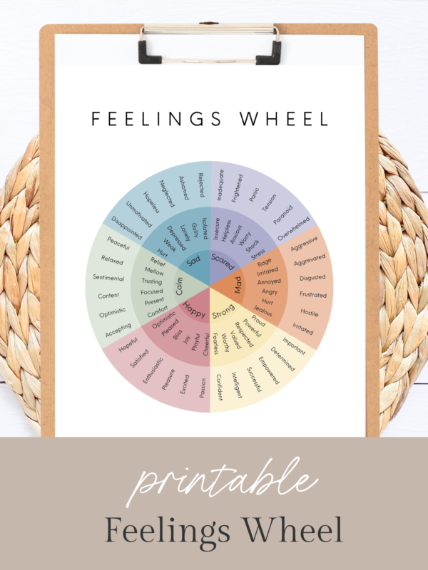 Feelings Wheel