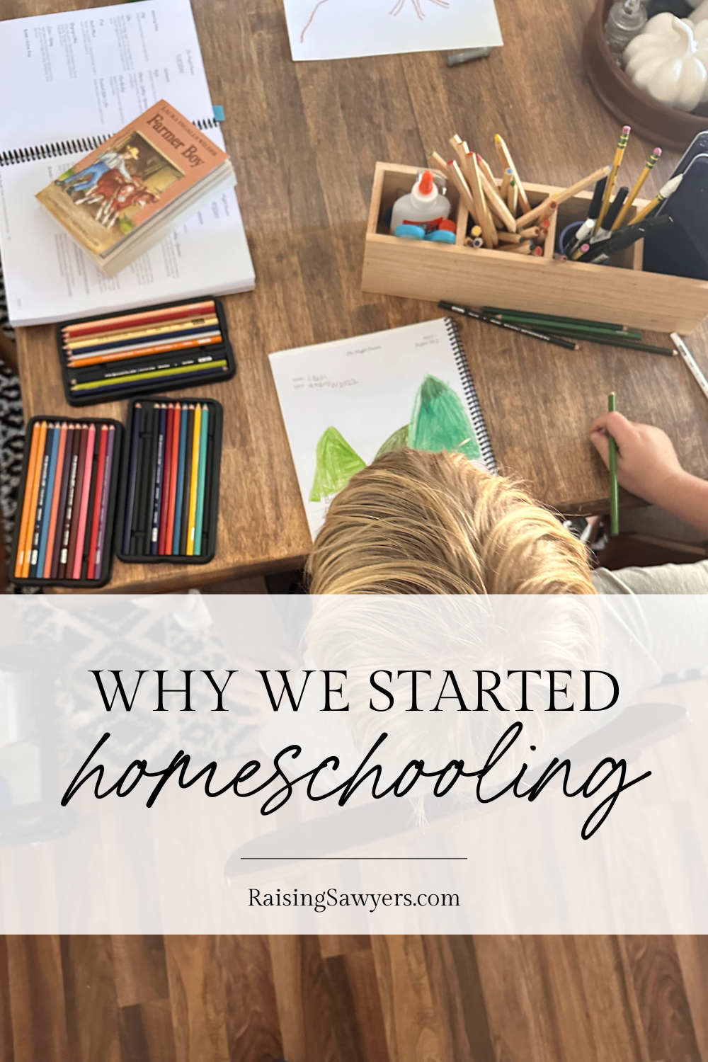 Why We Started Homeschooling - Raising Sawyers